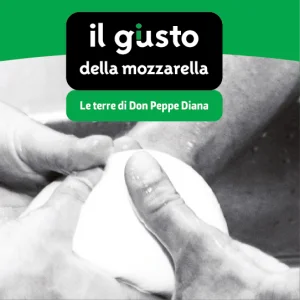 Il gusto giusto della mozzarella