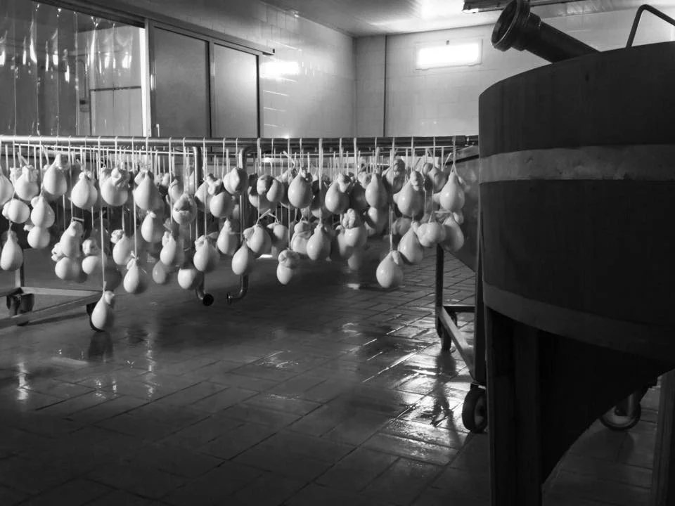 Asciugatura Caciocavallo