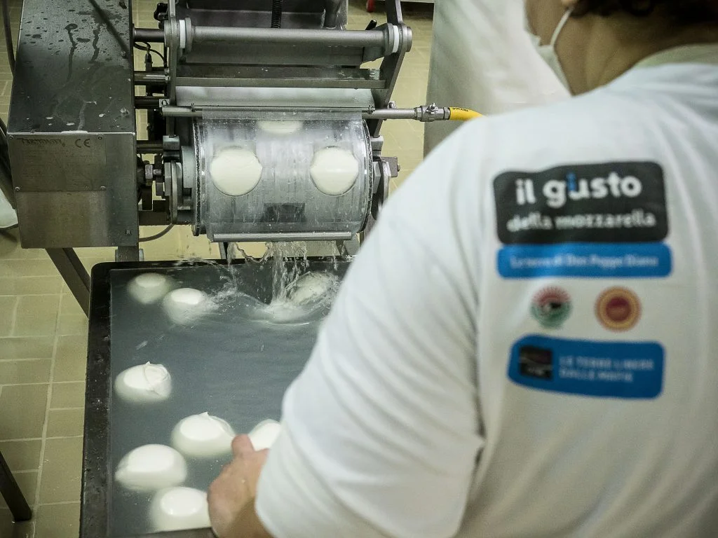 35-D-La Mozzarella che Libera (la)Terra