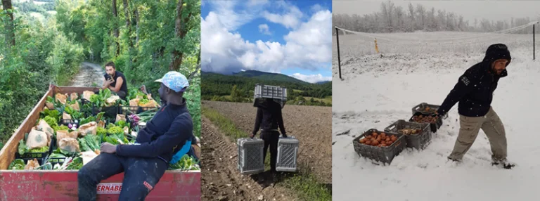 Azienda agricola Le Cascate