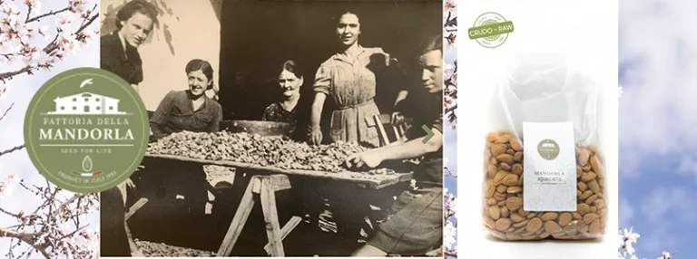 prodotti di mandorla