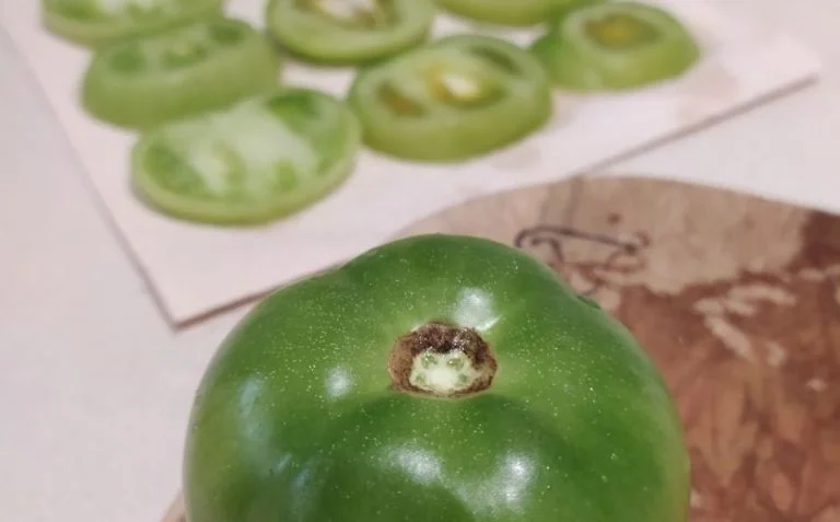 Ricetta pomodori verdi fritti