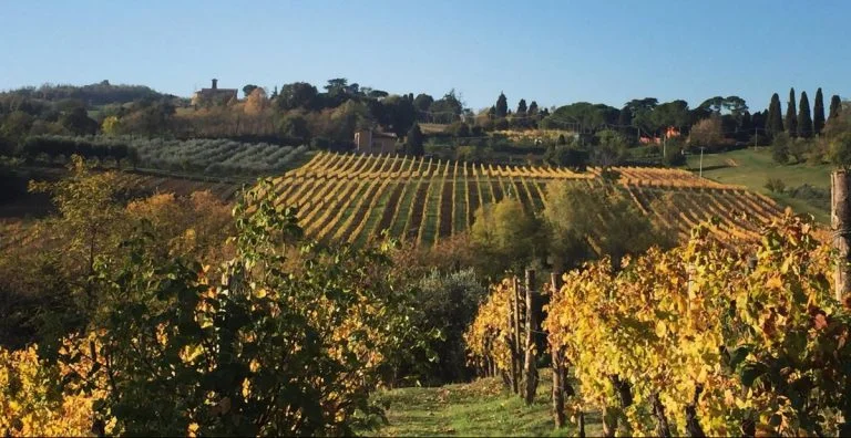 tenuta santa cecilia, vini della croara